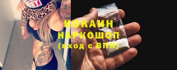 PSILOCYBIN Бородино