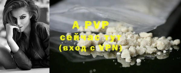 PSILOCYBIN Бородино
