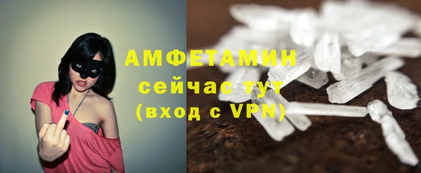 PSILOCYBIN Бородино