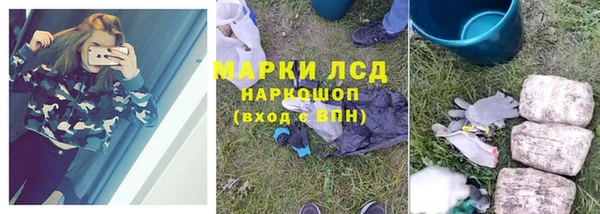 сатива Бугульма