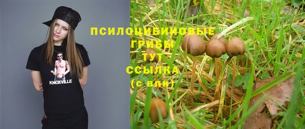 мяу мяу мука Верхний Тагил