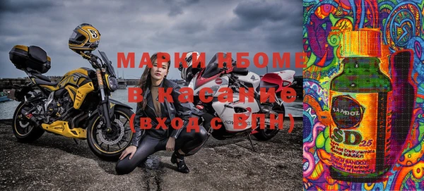 PSILOCYBIN Бородино