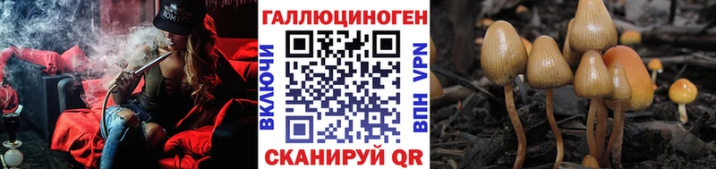 Галлюциногенные грибы Cubensis Карачев