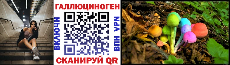 Псилоцибиновые грибы Magic Shrooms  Карачев 